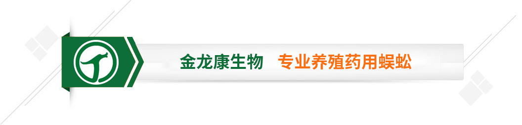 金龍康生物 專(zhuān)業(yè)養(yǎng)殖藥用動(dòng)物蜈蚣